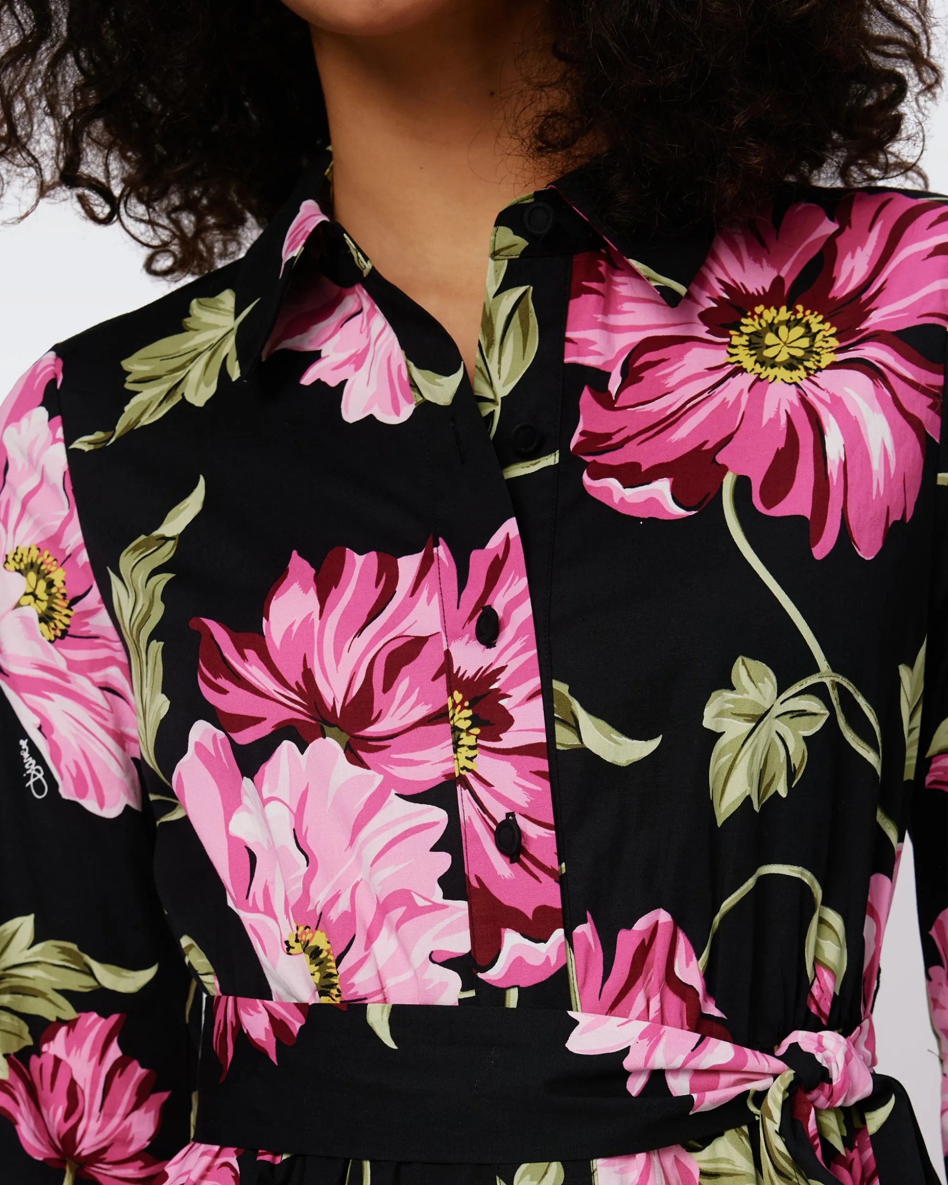 Blaine Cotton Poplin Dress